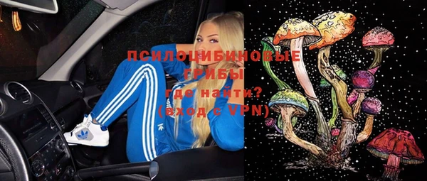 винт Аша
