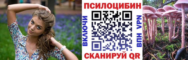 Псилоцибиновые грибы мицелий  hydra зеркало  Северская  купить наркотики цена 