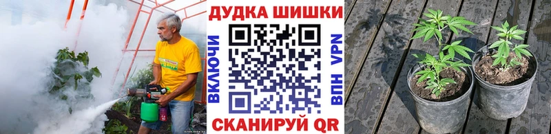 МАРИХУАНА семена  купить закладку  Северская 